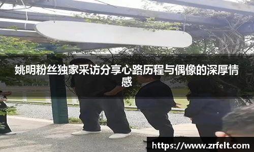 jjb竞技宝